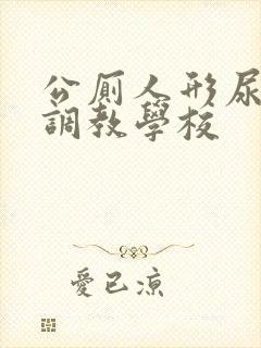 公厕人形尿便器调教学校