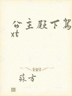 公主殿下驾到txt