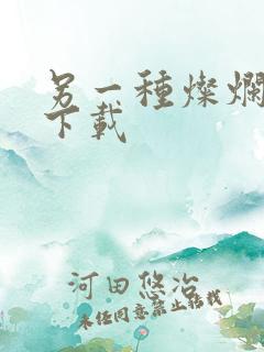 另一种灿烂生活下载