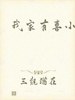 我家有喜小说