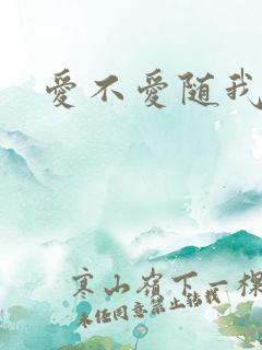 爱不爱随我