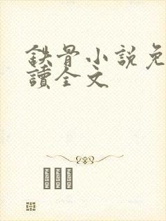 铁骨小说免费阅读全文