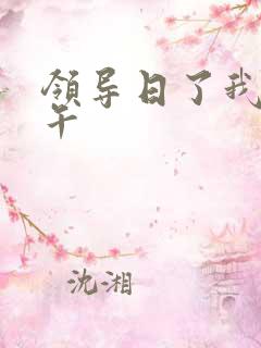 领导日了我一下午