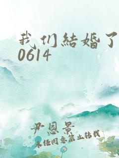 我们结婚了130614