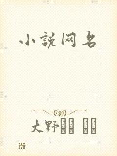 小说网名