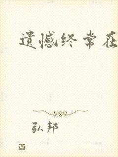 遗憾终常在小说