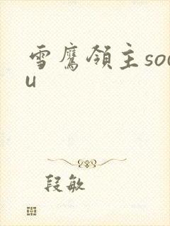 雪鹰领主sodu