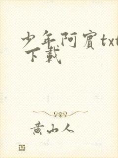 少年阿宾txt 下载