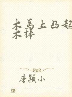 木马上凸起电动木棒