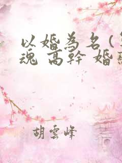 以婚为名 (军魂 高干 婚恋)