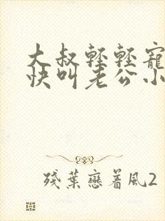 大叔轻轻宠宝贝快叫老公小说