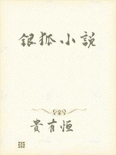 银狐小说