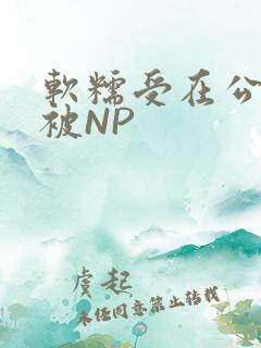 软糯受在公交车被NP