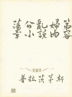 荡公乱妇第51章小说内容