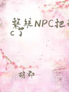 系统NPC把我c了
