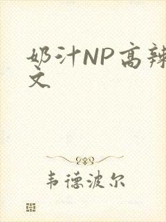奶汁NP高辣H文