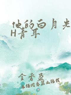 他的白月光HVH青耳