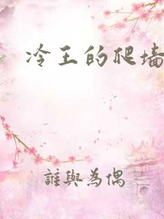 冷王的爬墙丑妃