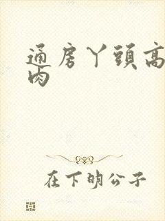 通房丫头高h纯肉