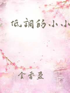 低调的小小宫女