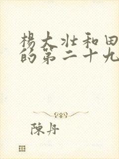 杨大壮和田桂花的第二十九