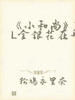 《小和尚》TXL金银花在哪里看