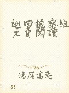 巡回检察组小说免费阅读