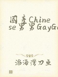 国产Chinese男男GayGayAPP