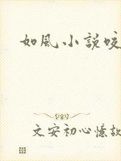 如风小说咬春饼