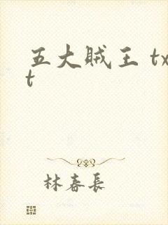 五大贼王 txt