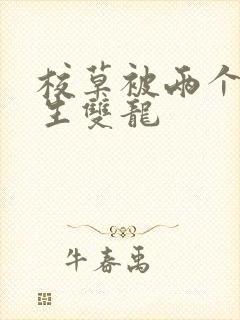 校草被两个体育生双龙