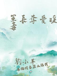 军长夺爱暖妻有毒