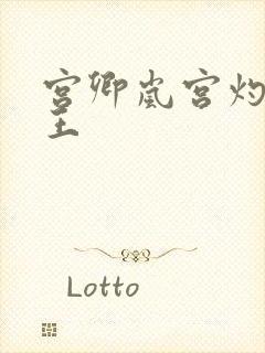 宫卿岚宫灼摄政王