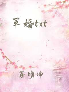 军婚txt