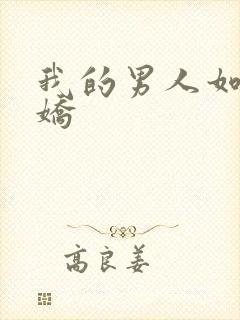 我的男人如此多娇