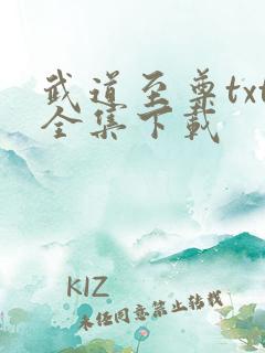 武道至尊txt全集下载