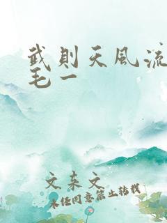 武则天风流艳情毛一