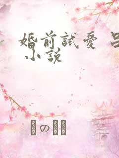 婚前试爱 吕颜 小说