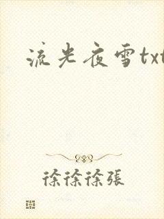 流光夜雪txt