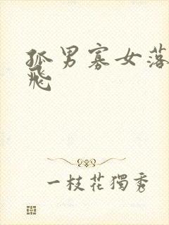 孤男寡女落瑛纷飞