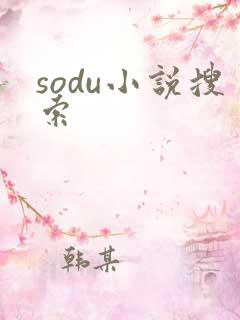 sodu小说搜索