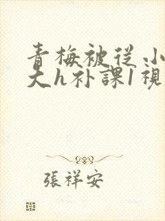 青梅被从小摸到大h补课1视频