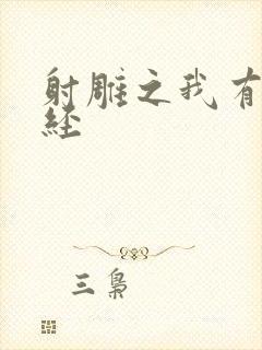 射雕之我有太玄经