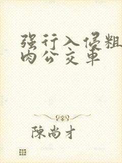 强行入侵粗暴h肉公交车