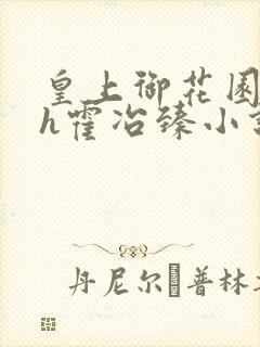 皇上御花园hlh霍冶臻小说