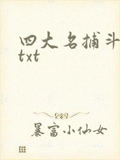 四大名捕斗将军txt