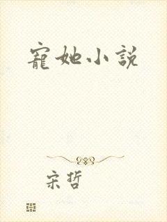 宠她小说
