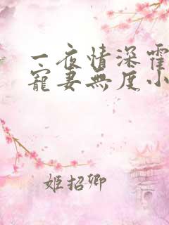 一夜情深霍先生宠妻无度小说免费阅读