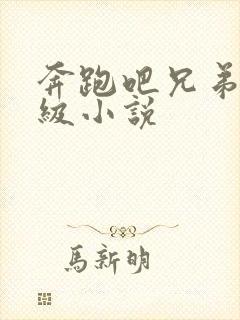 奔跑吧兄弟限制级小说