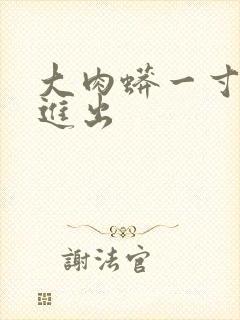 大肉蟒一寸一寸进出